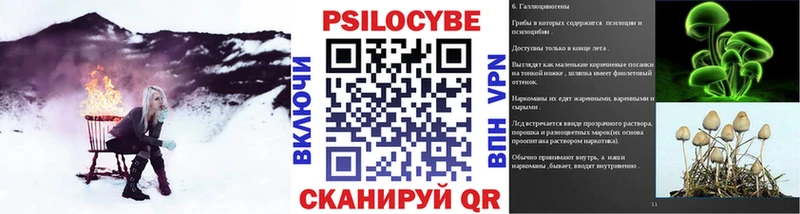 KRAKEN сайт  наркота  Саранск  Псилоцибиновые грибы MAGIC MUSHROOMS 